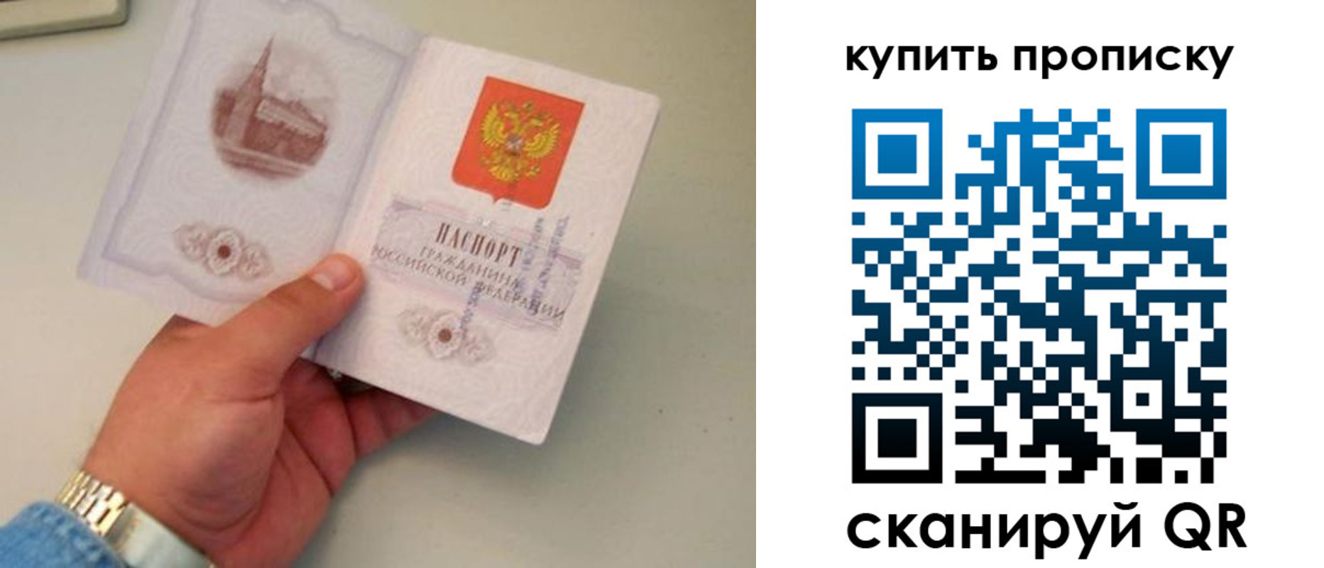 прописка для работы в Козловке